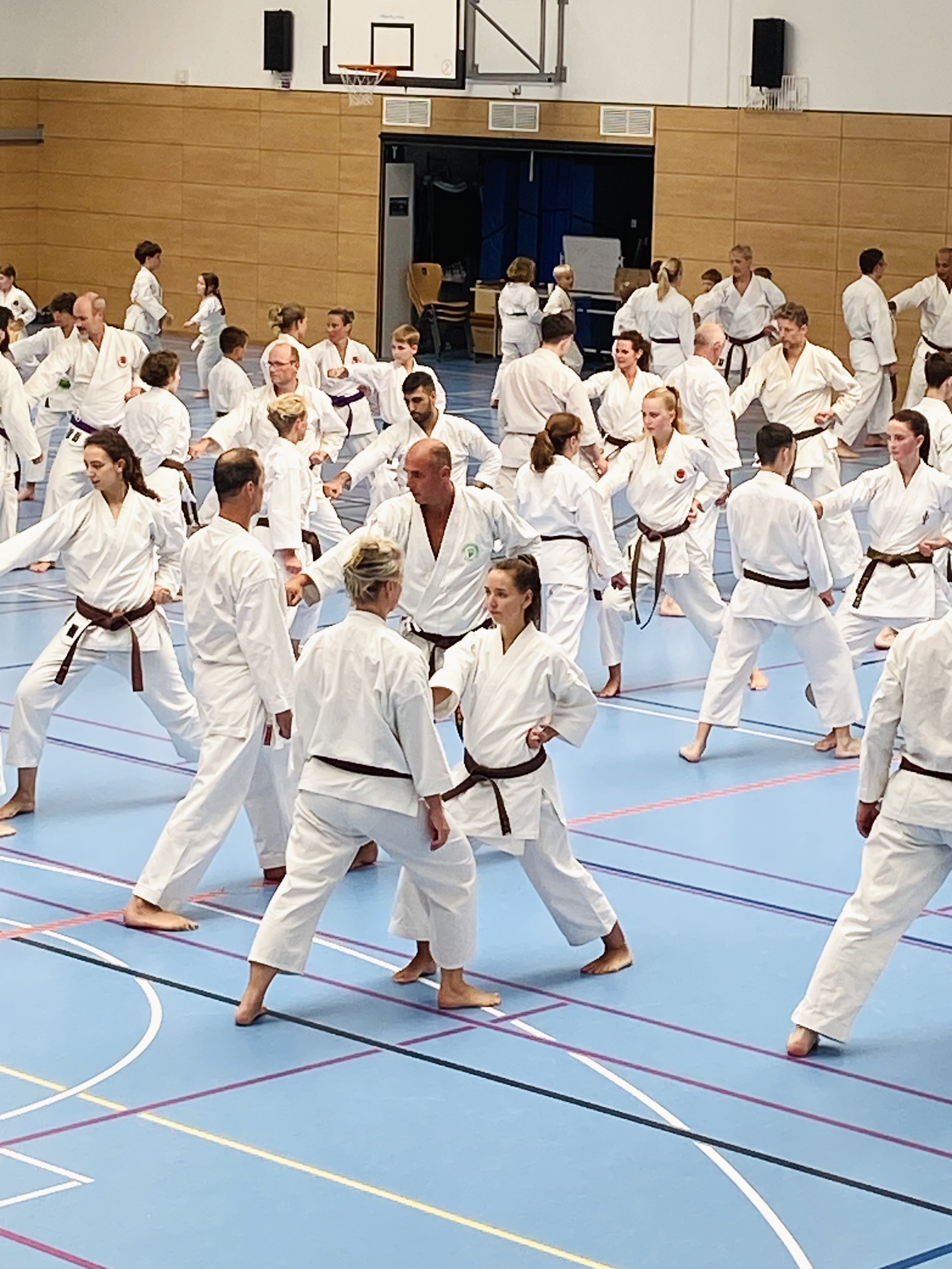 Shotokan Niederschelden DAN-Prüfungen Hennef